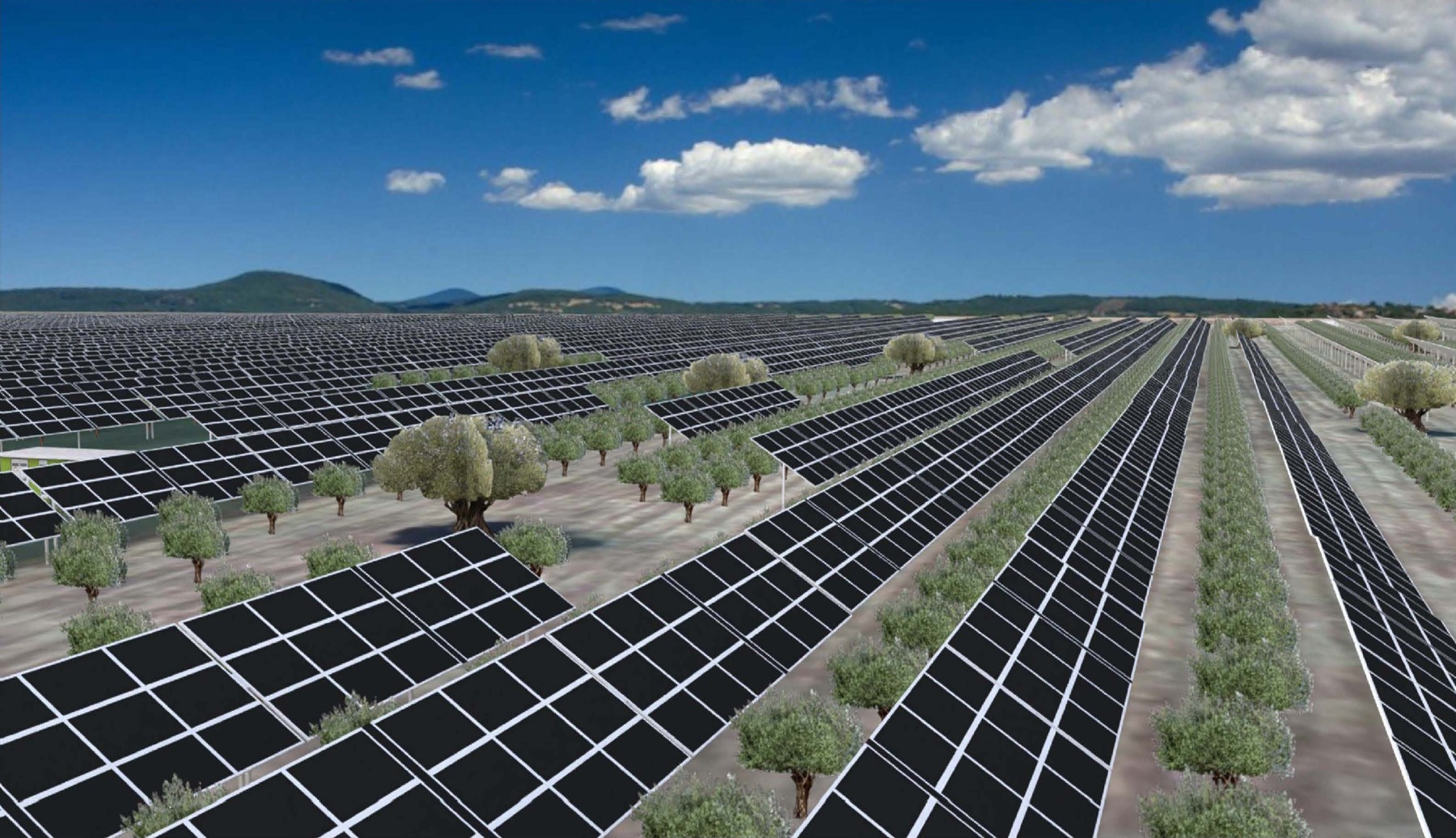Rendering del progetto agrivoltaico di Tuscania con integrazione degli olivi esistenti